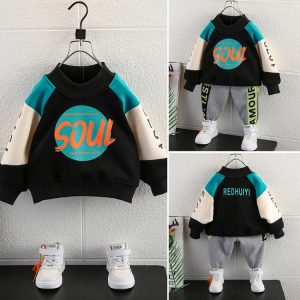 Boys' Fleece-Lined Pullover Hoodie, 2 Colorways